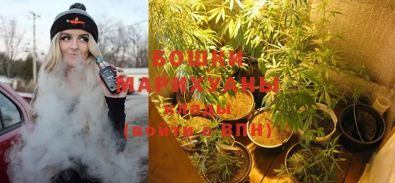 Шишки марихуана Ganja  Всеволожск 